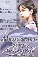 Метичара-зверь морской - Свердловский областной фильмофонд